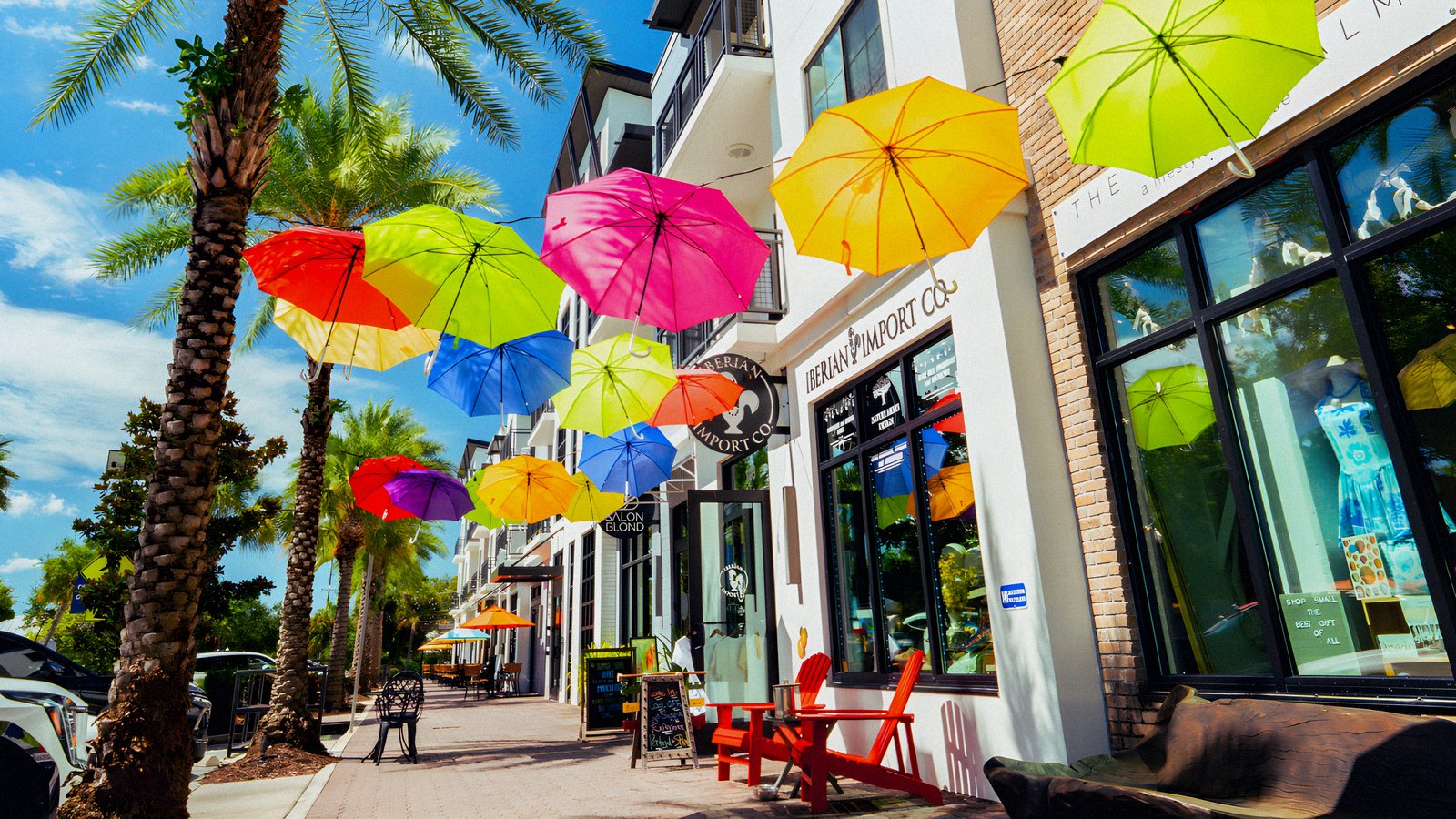Colorful umbrellas strung over the downtown Dunedin sidewalk on a sunny day, palm trees and shopfronts along the street.